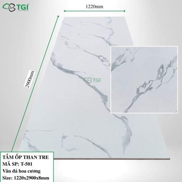 T 501